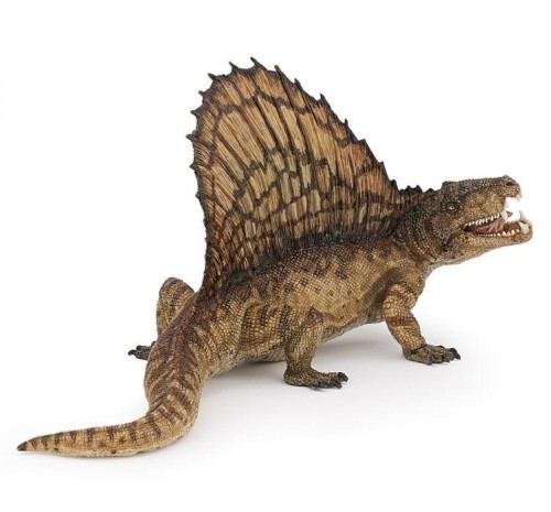Dimetrodon, PAPO