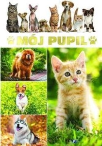MÓJ PUPIL TW FENIX, MARKIEWICZ PIOTR