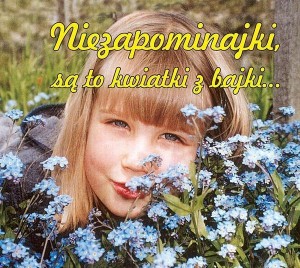 NIEZAPOMINAJKI SĄ TO KWIATKI Z BAJKI