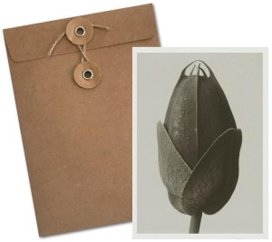 KARNET BF5-102 KOSMOS PODWÓJNIE PIERZASTY