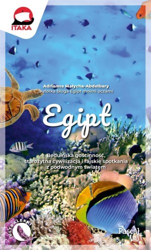 Egipt, Adrianna Małycha-Abdelbary