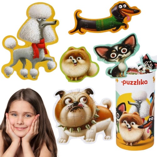 Puzzle 25 5w1 Psy, Cubika