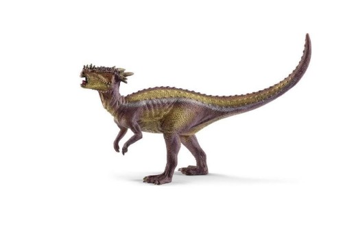 Dracorex, Sellmar