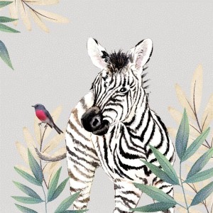 KARNET SWAROVSKI KWADRAT CL4711 ZEBRA