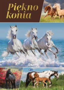 PIĘKNO KONIA, PRACA ZBIOROWA