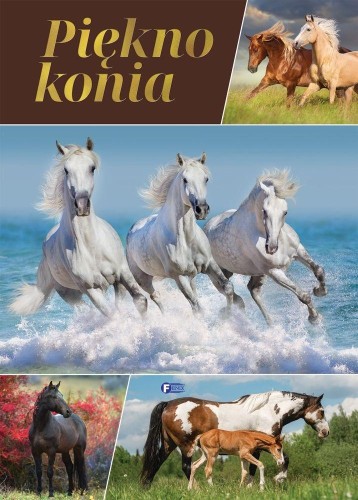 Piękno konia, praca zbiorowa