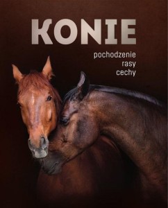 KONIE. POCHODZENIE, RASY, CECHY