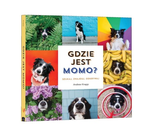 Gdzie jest Momo?, Andrew Knapp