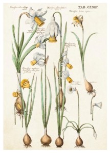 KARNET ST346 B6 + KOPERTA ŻONKILE