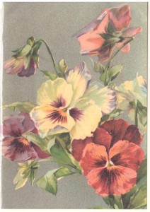 KARNET ST441 B6 + KOPERTA BRATKI