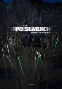 PO ŚLADACH, AGNIESZKA WOLNY-HAMKAŁO