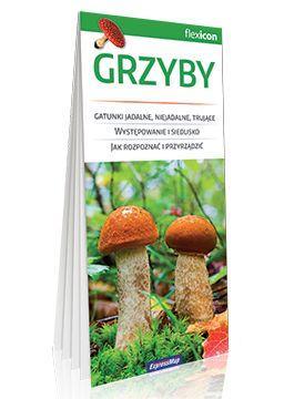 Grzyby, praca zbiorowa