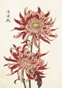 KARNET ST419 B6 + KOPERTA CHRYZANTEMA