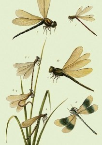 KARNET ST435 B6 + KOPERTA WAŻKI