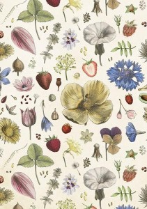 KARNET ST446 B6 + KOPERTA KWIATY LATA