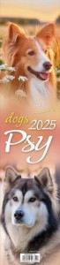 KALENDARZ 2025 PASKOWY - PSY