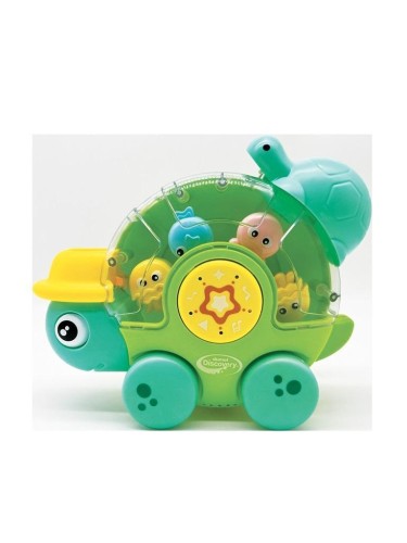 Żółwik wodna karuzela, Dumel