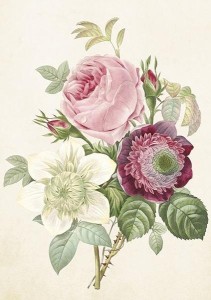 KARNET ST413 B6 + KOPERTA RÓŻE