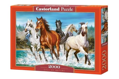 Puzzle 2000 Call of Nature CASTOR, Castorland