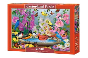 PUZZLE 2000 RHYTHM OF NATURE, CASTORLAND