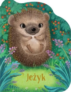 JEŻYK, ROSALEE WREN