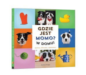 GDZIE JEST MOMO? W DOMU!, ANDREW KNAPP