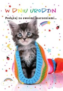 KARTKA OKOLICZNOŚCIOWA URODZINY TS09