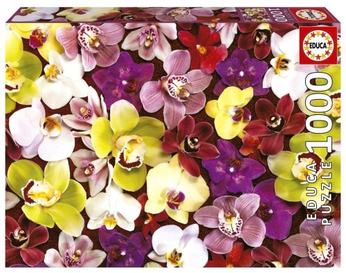 Puzzle 1000 Storczyki, Educa