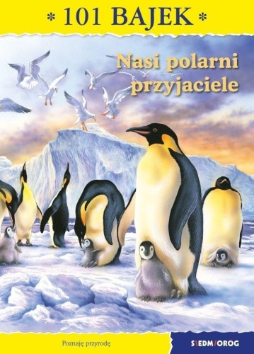 101 bajek. Nasi polarni przyjaciele, Ewa Mirkowska