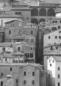 NOTES SIENEŃSKI, PRACA ZBIOROWA