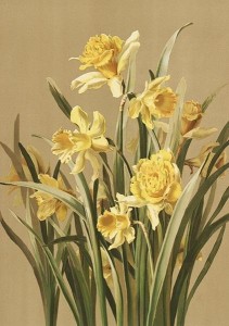 KARNET ST403 B6 + KOPERTA ŻONKILE