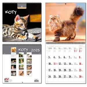 KALENDARZ 2025 30X60 13 PLANSZOWY KOTY