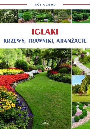 Mój ogród. Iglaki, krzewy, trawy, praca zbiorowa