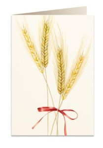 KARNET B6 + KOPERTA 5717 PSZENICA