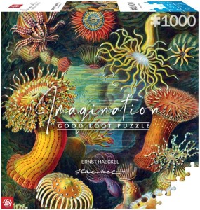 PUZZLE 1000 ERNST HAECKEL: STWORZENIA MORSKIE