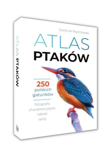 Atlas ptaków, Dominik Marchowski