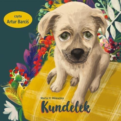 Kundelek audiobook, Marta H. Milewska