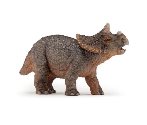 Triceratops młody, PAPO