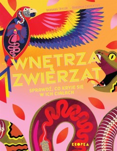 WNĘTRZA ZWIERZĄT