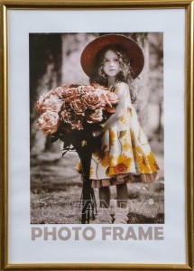 RAMKA SIMPLE 2 30X40 4, FANDY