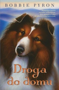 DROGA DO DOMU W.2018, BOBBY PYRON