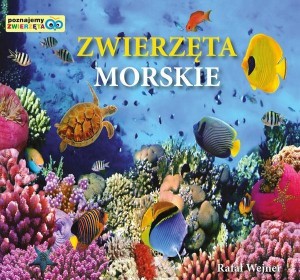 POZNAJEMY ZWIERZĘTA. ZWIERZĘTA MORSKIE LIWONA