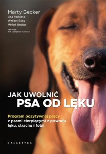 JAK UWOLNIĆ PSA OD LĘKU. PROGRAM POZYTYWNEJ PRACY